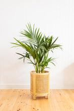 Load image into Gallery viewer, WEBBED ROUND PLANTER