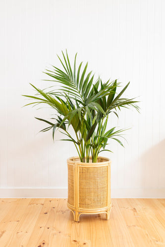 WEBBED ROUND PLANTER